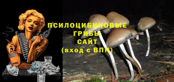 гашишное масло Красноперекопск