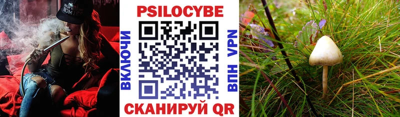 Псилоцибиновые грибы MAGIC MUSHROOMS  Ростов-на-Дону 