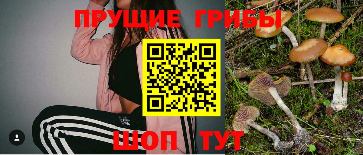 Псилоцибиновые грибы прущие грибы  Ростов-на-Дону 