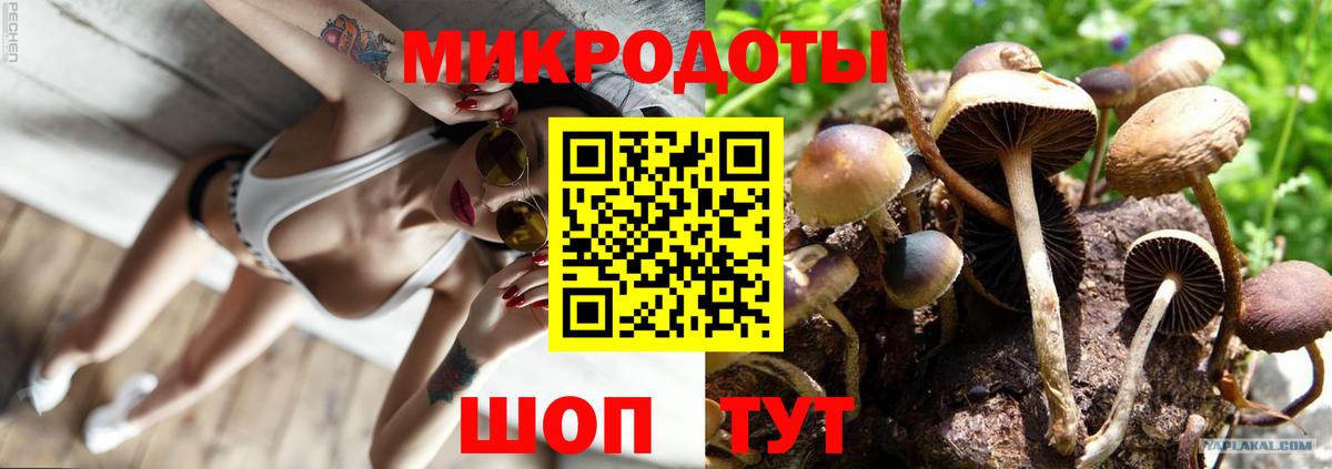 Псилоцибиновые грибы прущие грибы  Псилоцибиновые грибы Magic Shrooms  Вход с VPN  Ростов-на-Дону 